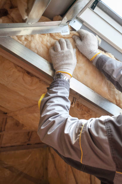 Best Insulation Installation Services in Prairieville, LA