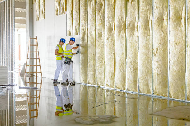 Best Commercial Insulation in Prairieville, LA